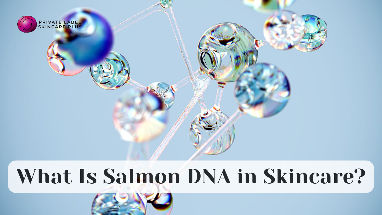 salmon dna