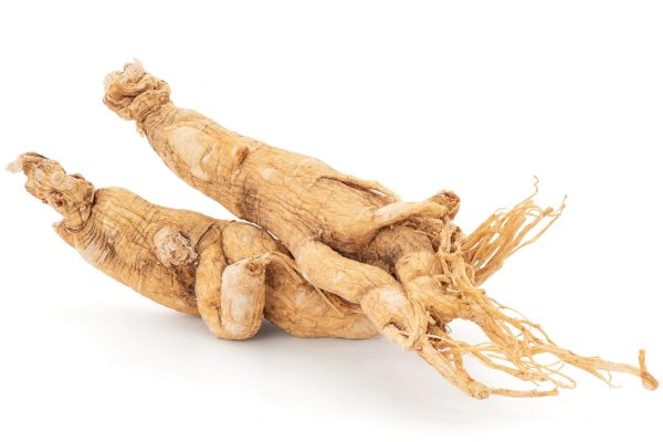 ginseng